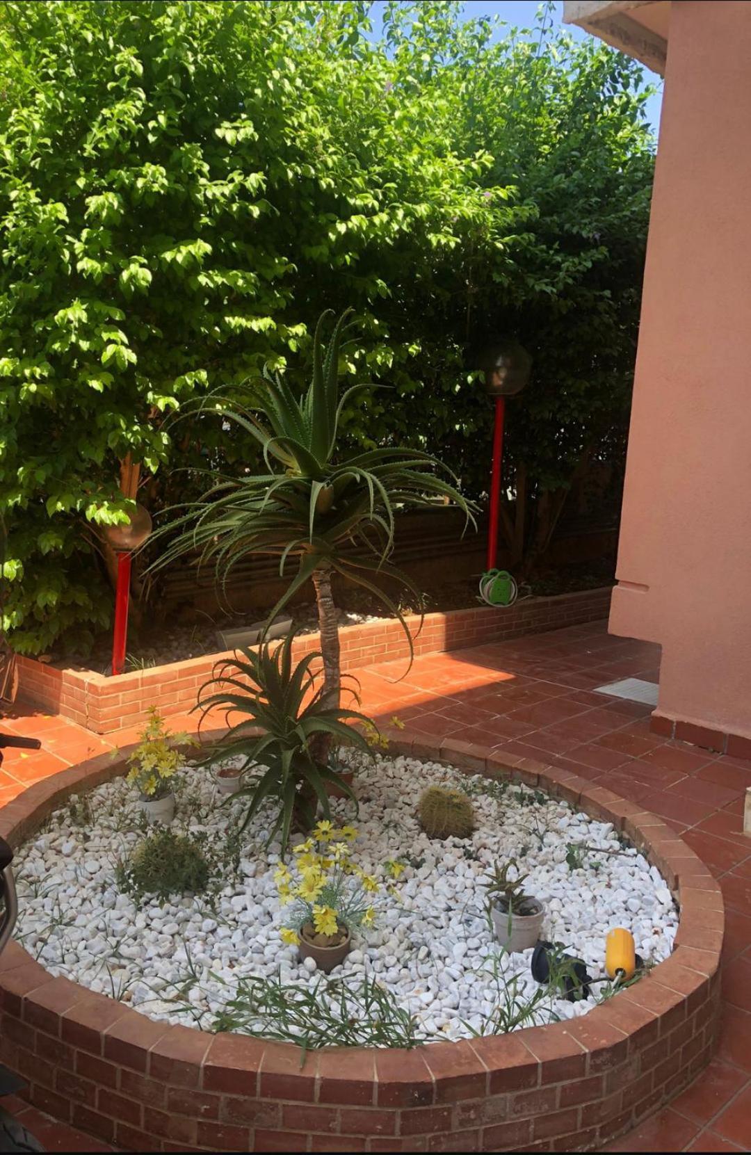 Mondello House Lemon Apartment Палермо Екстериор снимка
