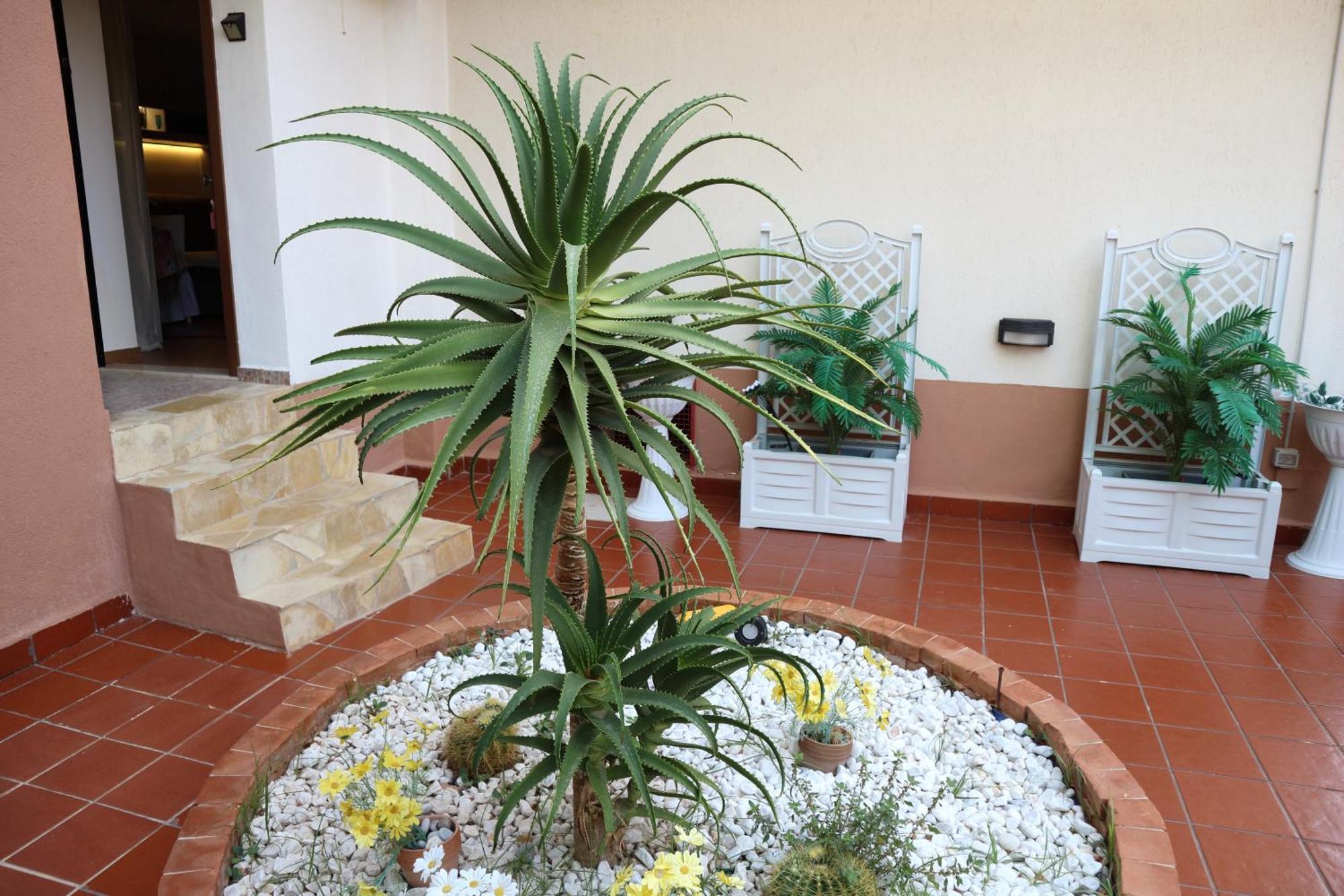 Mondello House Lemon Apartment Палермо Екстериор снимка